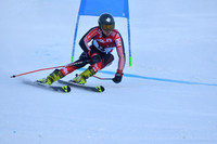 2023 2. English Champs FIS 313966